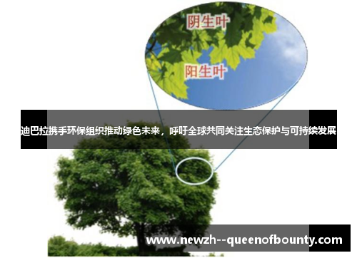 迪巴拉携手环保组织推动绿色未来，呼吁全球共同关注生态保护与可持续发展